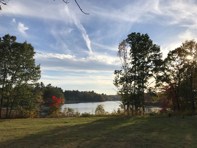 Keywords: trees by still waters,painting autumn colors by a river