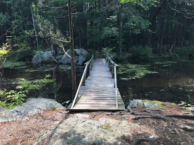 Keywords: bridge,footbridge,wooden,painting a figure on a bridge