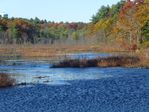 Holliston_Stony-Brook_Nature-1130144.jpg