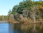 Holliston_Stony-Brook_Nature-1130145.jpg