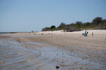 reference_cape_cod_beach.jpg