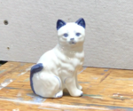 ceramic_cat.png