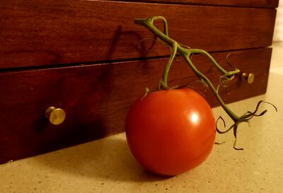 Keywords: tomato on the vine