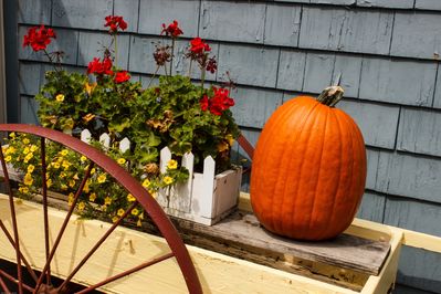 Keywords: pumpkin,wagon,outdoors,flowers