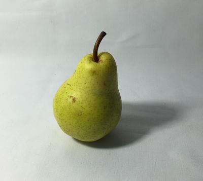 Keywords: solitary pear,acrylic painting of a pear,Learning the Fundamentals 1A (February 8 2021) - 1:46:50