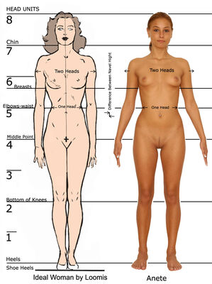 Keywords: comparrison to average human,female,upright