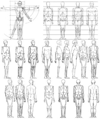 Keywords: human proportions,four views,from skeleton to flesh,nude,male,12-week Drawing Fundamentals class 9 (March 30 2021) - 2:48