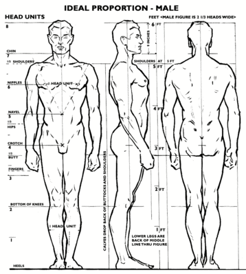 Keywords: proportion male,nude,upright