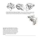 folds_types_28129_Page_7.jpg
