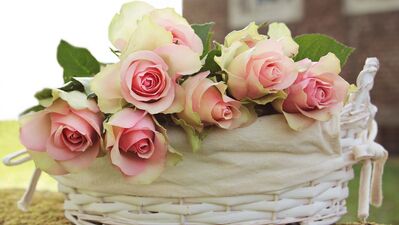 Keywords: roses,cake,pink,white