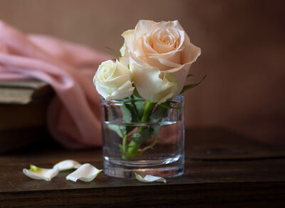 Keywords: roses,glass,white,petals,pink cloth,petals,Watercolor painting of roses and glass - 41:33