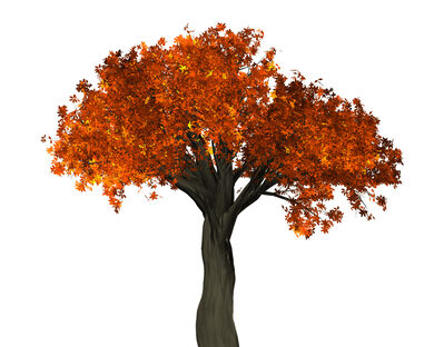 Keywords: tree,autumn,orange leaves,acrylic painting of a maple tree in fall