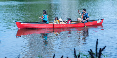 Keywords: Boston,Charles River,boating,water,reflection