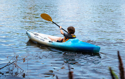 Keywords: Boston,Charles River,boating,water,reflection