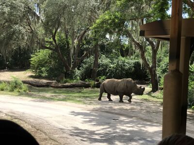 Keywords: animal kingdom