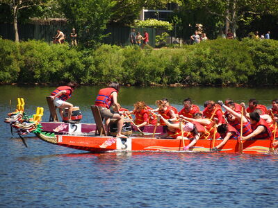 Keywords: dragonboat,rowing,personal project