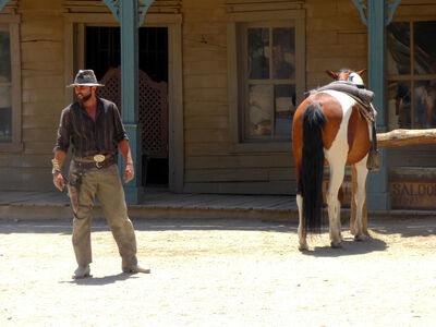 cowboy_horse2
