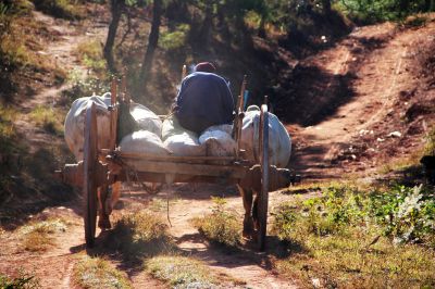 ox-cart-1559717b
