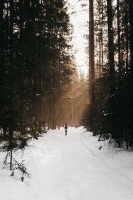 alone_snow_path
Keywords: snow,snow path,alone,walk