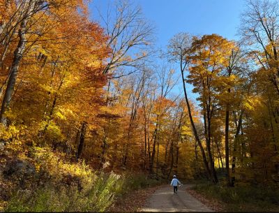 autumn_path_ivan
