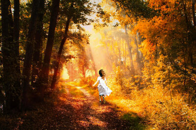 autumn_trees_girl
