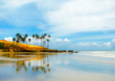 beach_palm_beach
