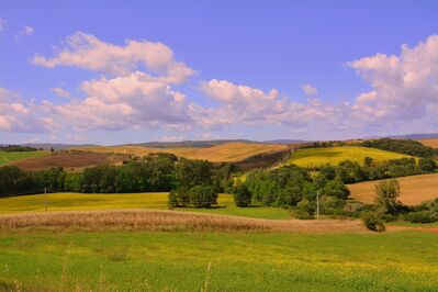 hill-clouds-trees
Keywords: marathon