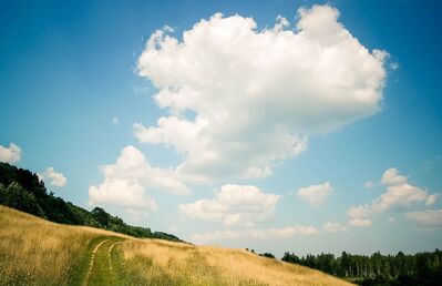 hill-clouds-trees2
