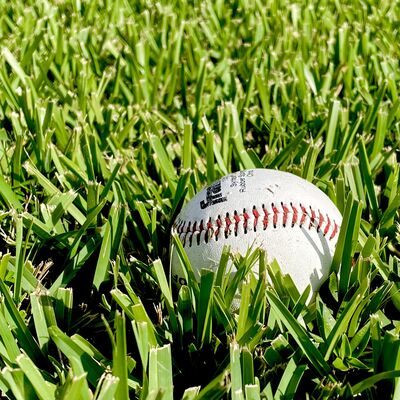 Keywords: baseball,grasses,backyard