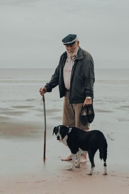 Keywords: man,dog,beach,stick