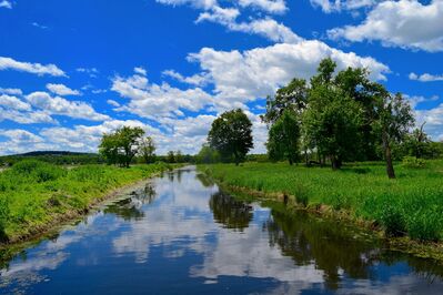 river-trees-clouds
