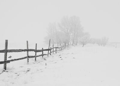 snowy_fence
Keywords: snow,fence,snowy