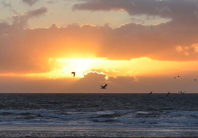 Keywords: clouds,beach,sunset