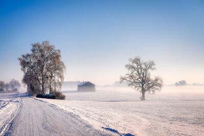 trees_house_winter
