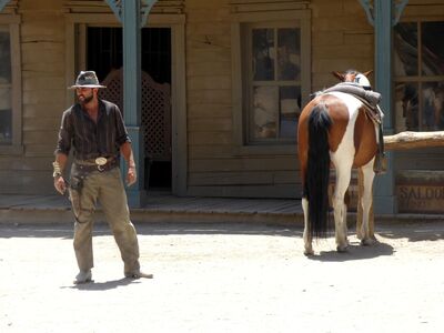 Keywords: horse,cowboy,man,shadow