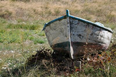 wreck boat beach grass
