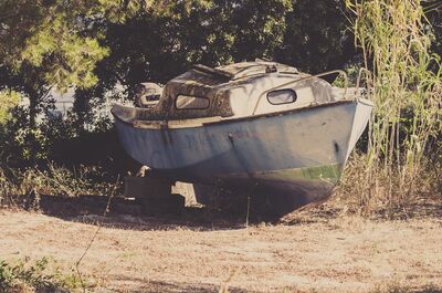 wreck boat trees shadows
