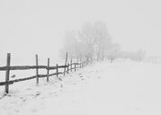 1a-snowy_fence.jpeg