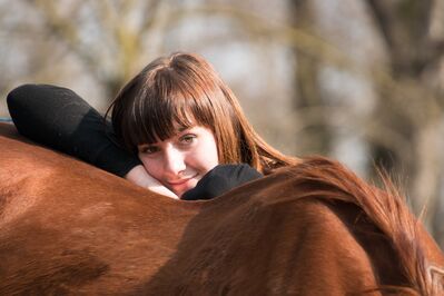 horse-3568036_1920
