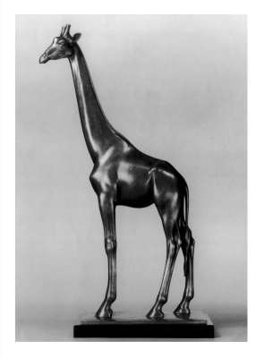 reference_giraffe
