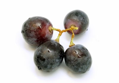 grape-2612696_1920.jpg