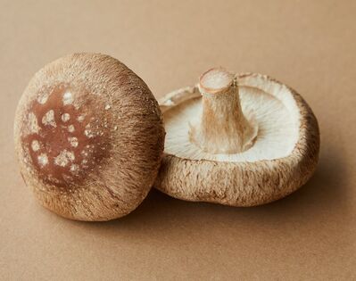 mushrooms
