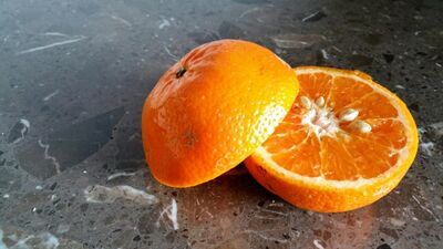 orange_openned
