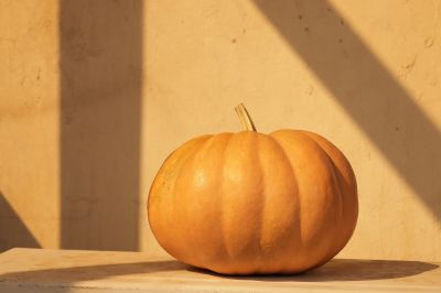 pumpkin-2
