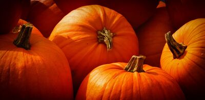 Keywords: autumn,pumpkins