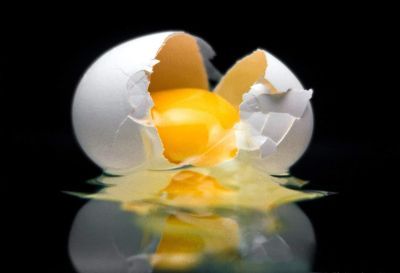 reflection_egg
