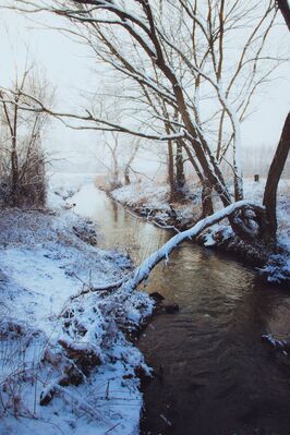 Keywords: trees,river,water,reflection