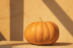 pumpkin-2.jpg