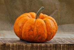 pumpkin-3.jpg