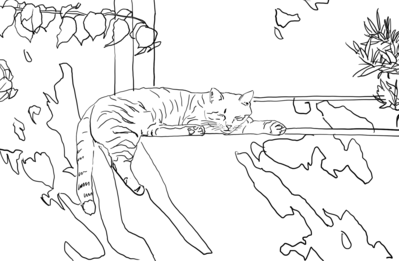 traceable_cat_sleeping_window
